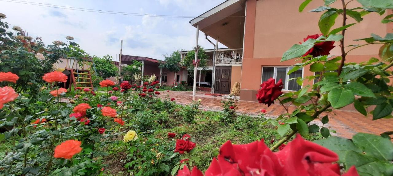 Vip Hostel Turkistan Екстер'єр фото